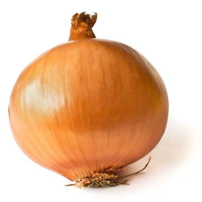 Cebola